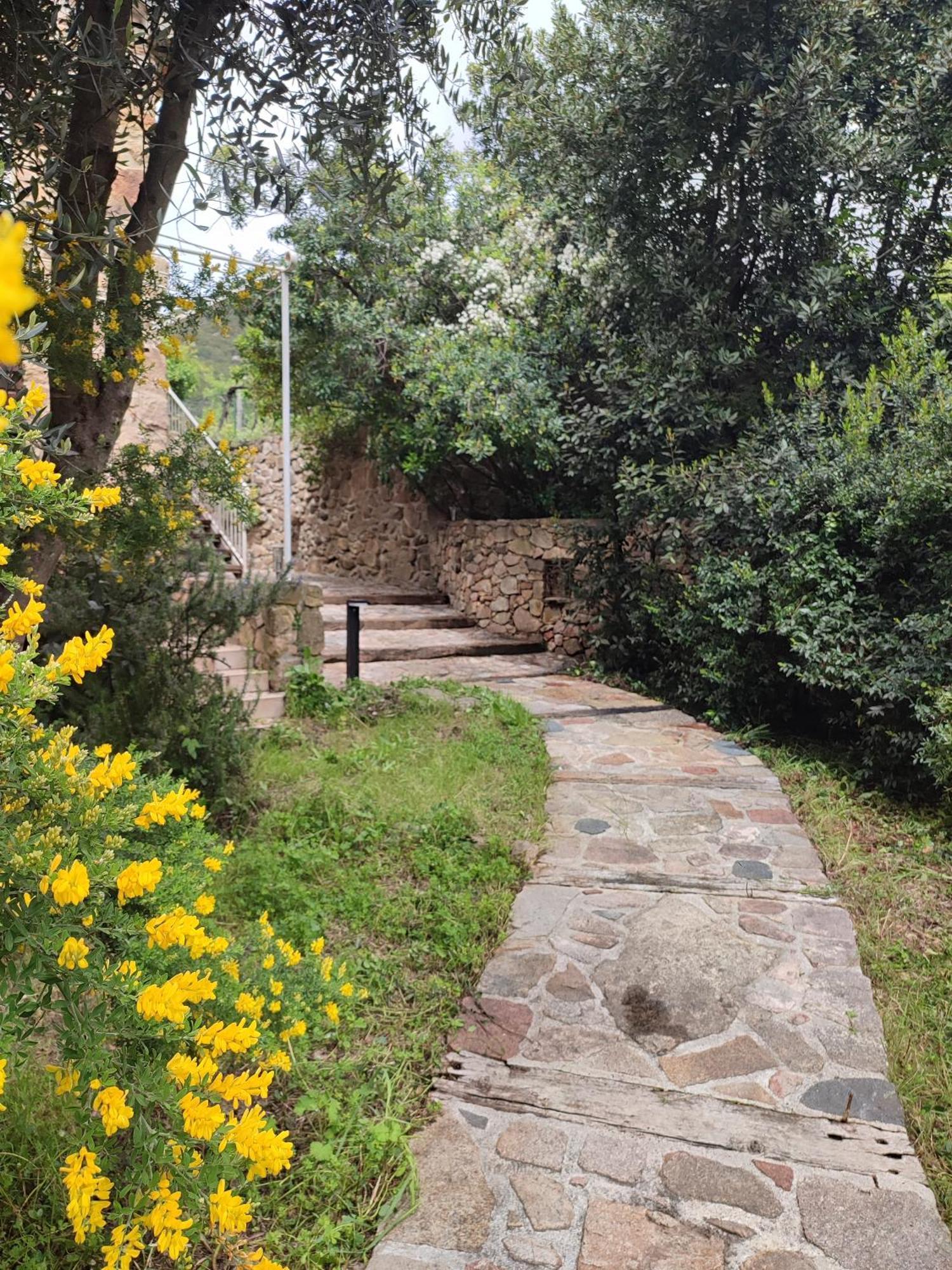 Entre Mer & Maquis, L'Ame De La Corse En Gites De Charme Avec Jacuzzi, Proche Ajaccio Peri Exterior foto